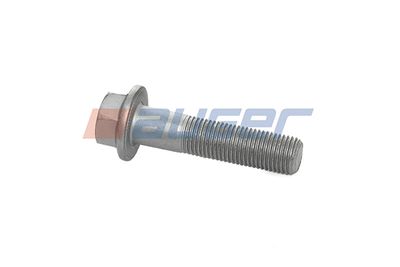 Screw AUGER 51521