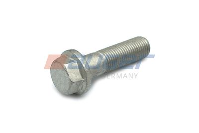 Screw AUGER 51525