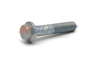 Screw AUGER 51527