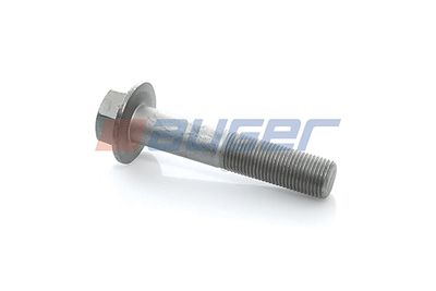 Screw AUGER 51528