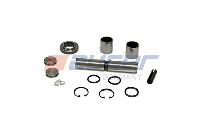Repair Kit, kingpin AUGER 52546