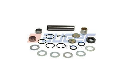 Repair Kit, kingpin AUGER 52563