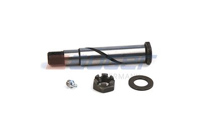 Repair Kit, spring bolt AUGER 53047