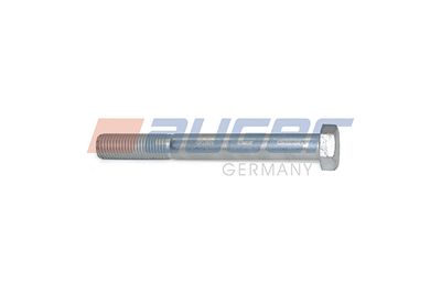 Screw AUGER 54033
