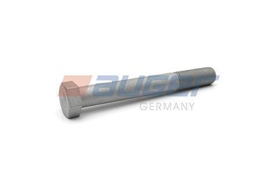 Screw AUGER 54047