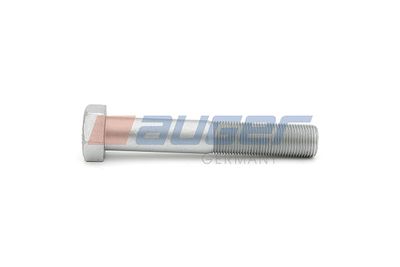 Screw AUGER 54799