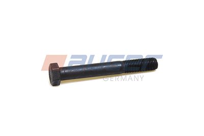 Screw AUGER 54801