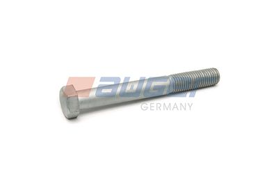 Screw AUGER 54802