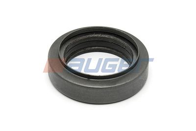 Bush, steering knuckle AUGER 54813