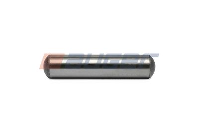 Guide Bolt, brake caliper AUGER 55208