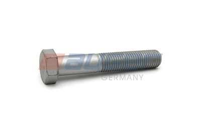 Screw AUGER 55250