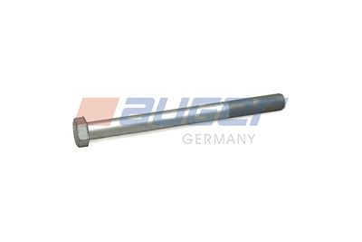 Screw AUGER 55276