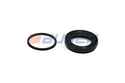 Repair Kit, brake caliper AUGER 55815
