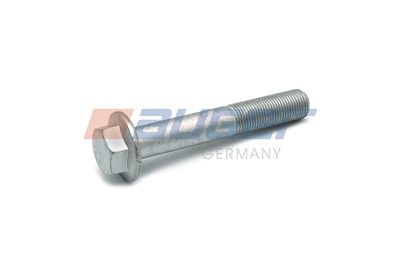 Screw AUGER 59278