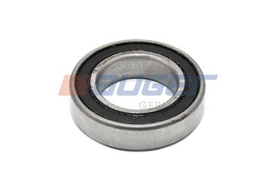 Bearing AUGER 60470