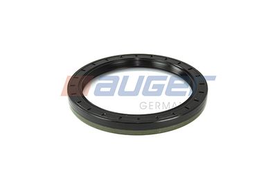 Shaft Seal, wheel hub AUGER 69173