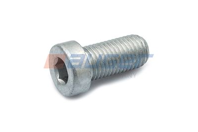 Screw AUGER 71861