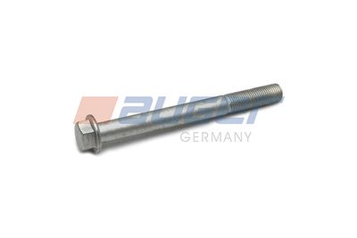 Screw AUGER 72164