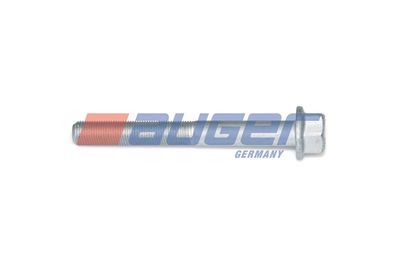Screw AUGER 72317