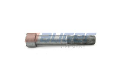 Screw AUGER 72789