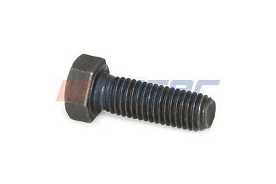 Screw AUGER 73803