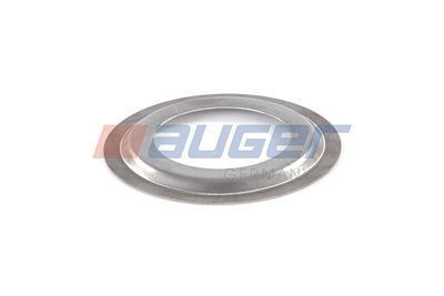 Cover Plate, dust-cover wheel bearing AUGER 73805