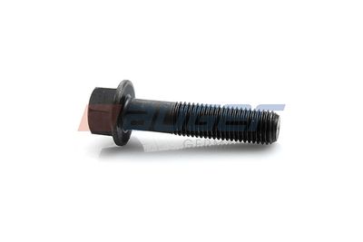 Screw AUGER 76652