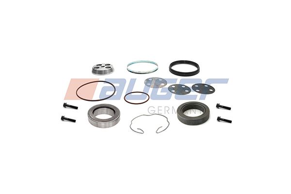 AUGER 76655 Repair Kit, steering knuckle (leaf spring hanger)