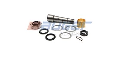 Repair Kit, kingpin AUGER 78308