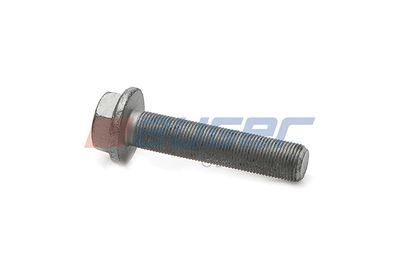 Screw AUGER 80230