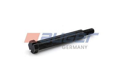 Screw AUGER 81413