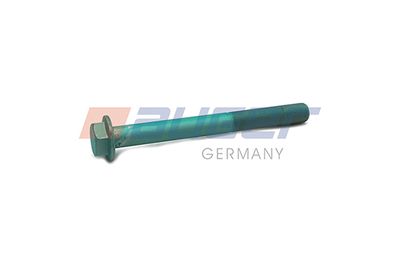 Screw AUGER 81434