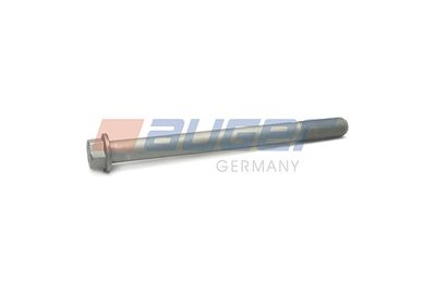 Screw AUGER 83924