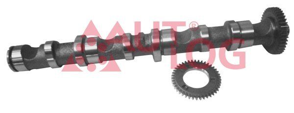 AUTLOG NW5023 Camshaft