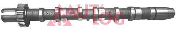 AUTLOG NW5024 Camshaft