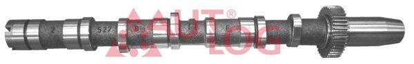 AUTLOG NW5026 Camshaft