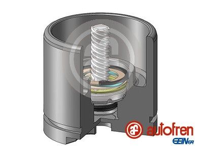 Piston, brake caliper AUTOFREN SEINSA D025256LK