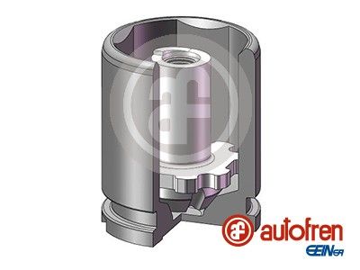 Piston, brake caliper AUTOFREN SEINSA D025543K