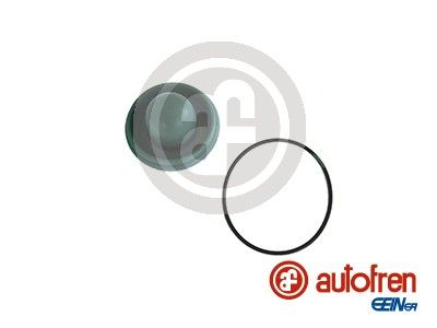 AUTOFREN SEINSA D1286 Repair Kit, brake master cylinder