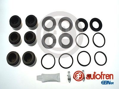 Repair Kit, brake caliper AUTOFREN SEINSA D42431C