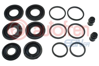 Repair Kit, brake caliper AUTOFREN SEINSA D43207