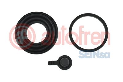 Repair Kit, brake caliper AUTOFREN SEINSA D46063