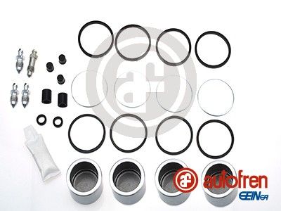 Repair Kit, brake caliper AUTOFREN SEINSA D4859C