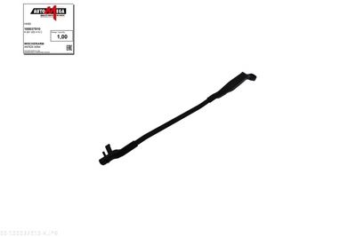 Wiper Arm, window cleaning AUTOMEGA 100037910