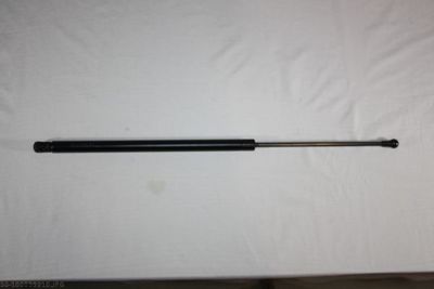 Gas Spring, boot/cargo area AUTOMEGA 100099210