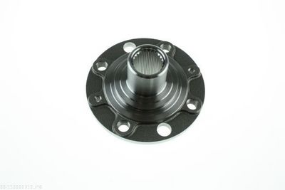 Wheel Hub AUTOMEGA 110000310