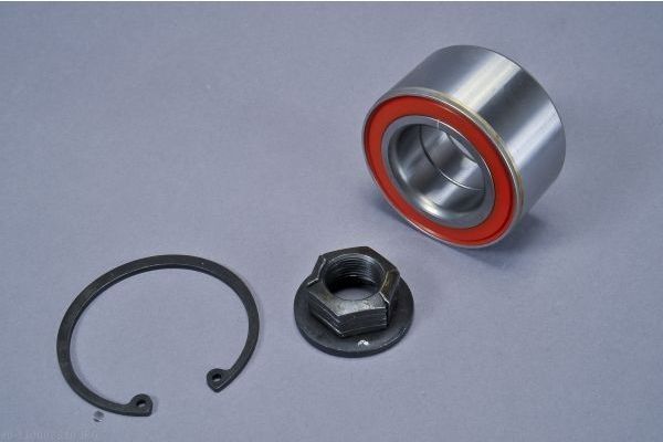 AUTOMEGA 110008310 Wheel Bearing Kit