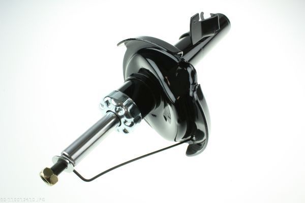 AUTOMEGA 110012410 Shock Absorber