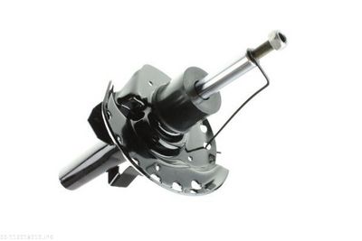 Shock Absorber AUTOMEGA 110018010