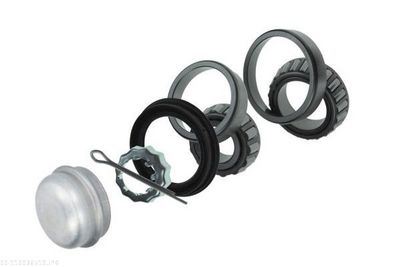 Wheel Bearing Kit AUTOMEGA 110036510